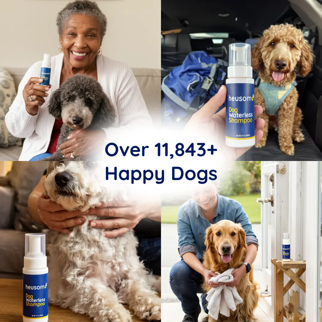Dog Waterless Shampoo - Image 5