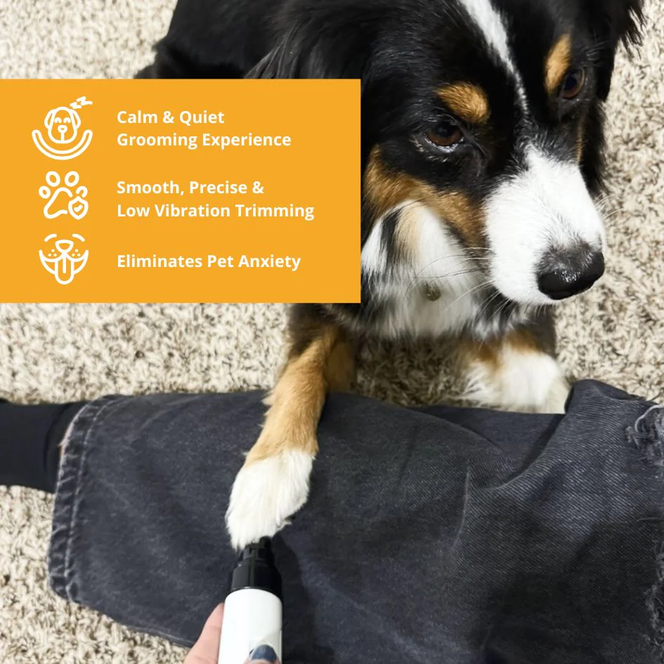 Silent Groom Pro - Image 4