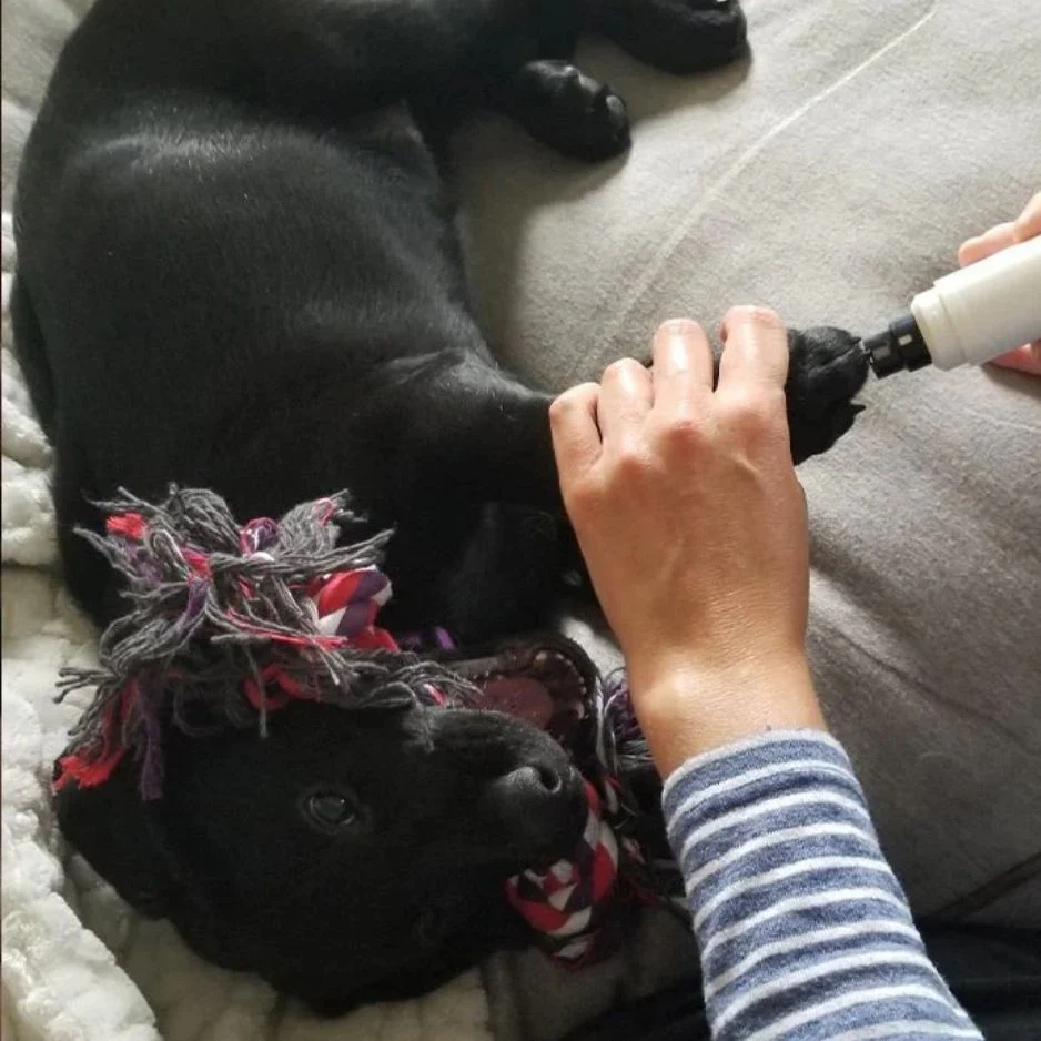 The Silent Groom Pro - Image 5