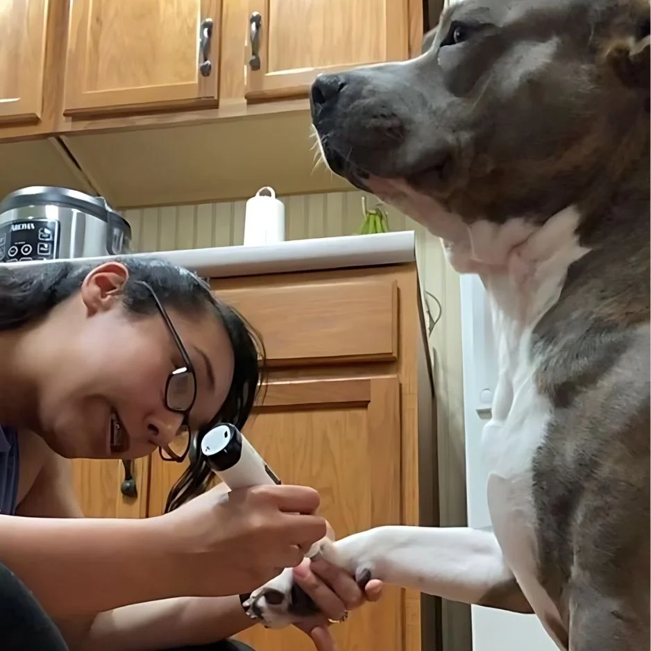 The Silent Groom Pro - Image 6